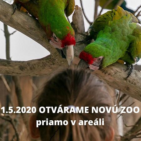 Penzion Eko Park Piestany Exteriér fotografie
