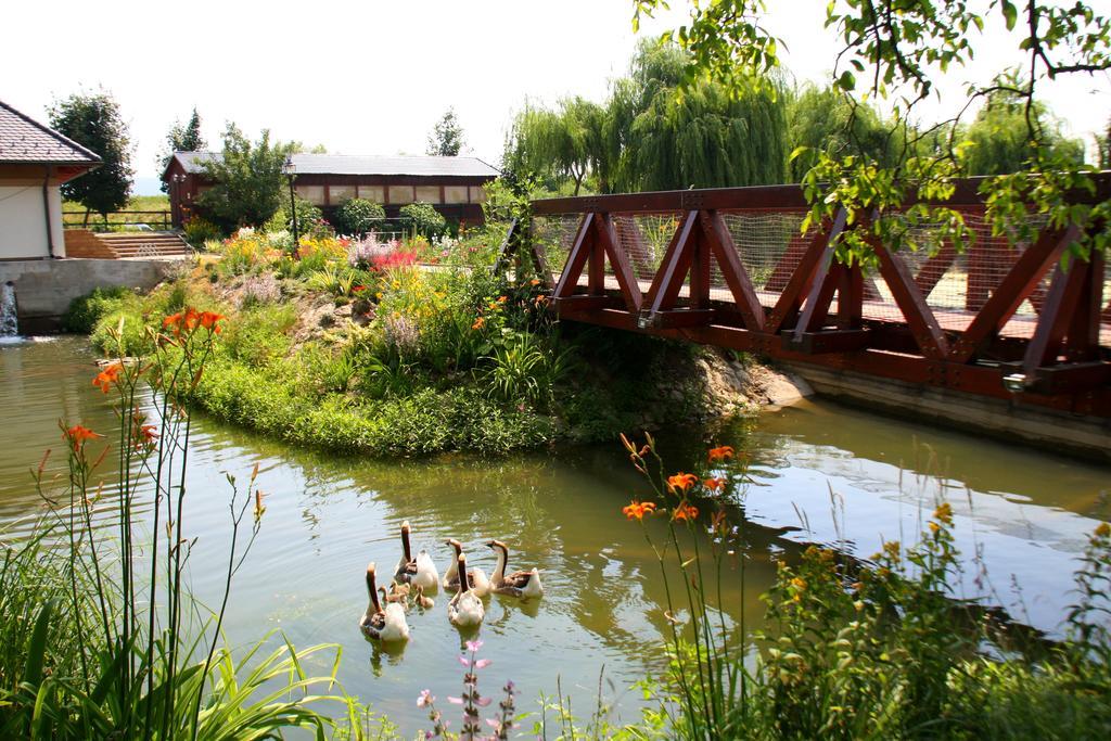 Penzion Eko Park Piestany Exteriér fotografie